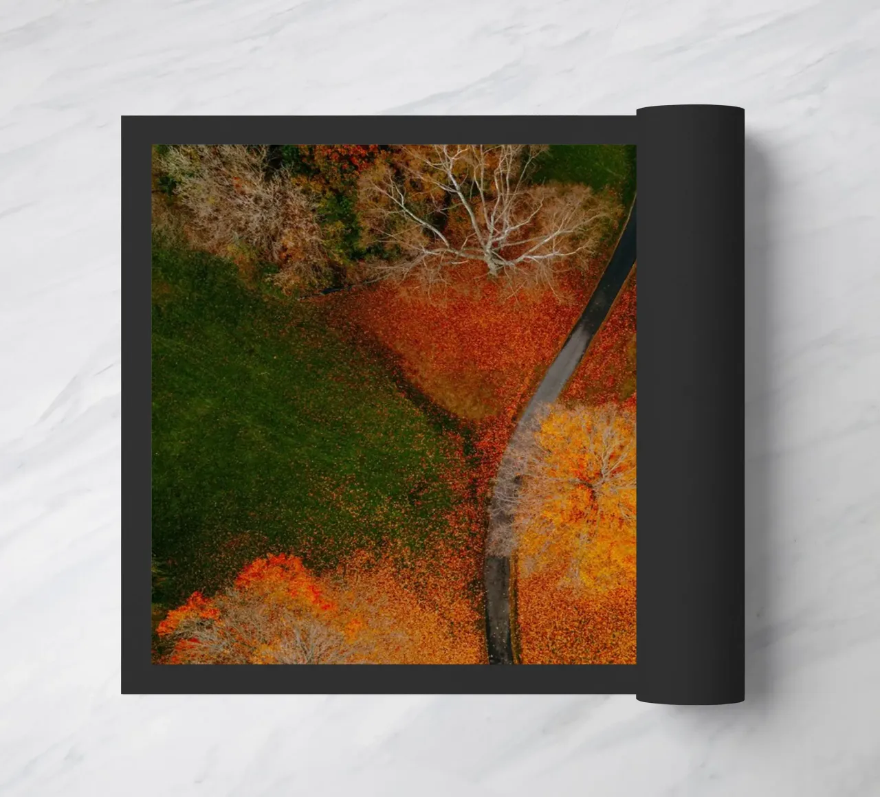 curve road in blossom forest zerbino da Good days