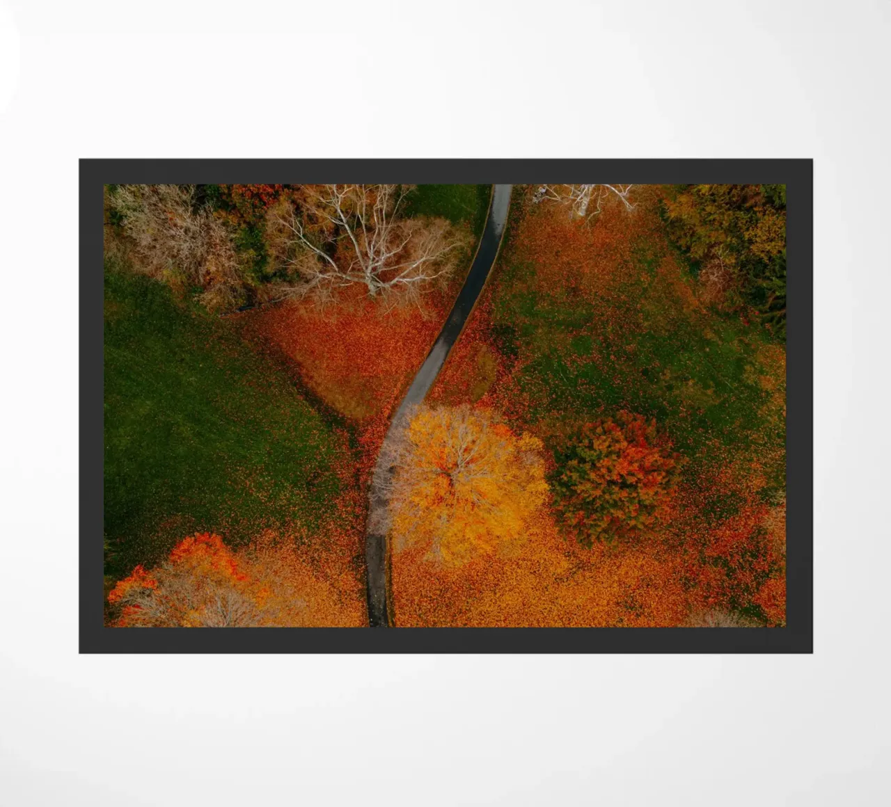 curve road in blossom forest zerbino da Good days