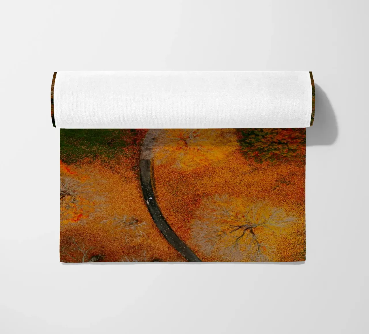 curve road in blossom forest telo mare da Good days