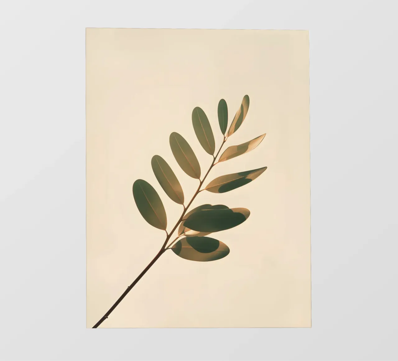 Gradiente botanico telo in pvc da Botanical Gallery