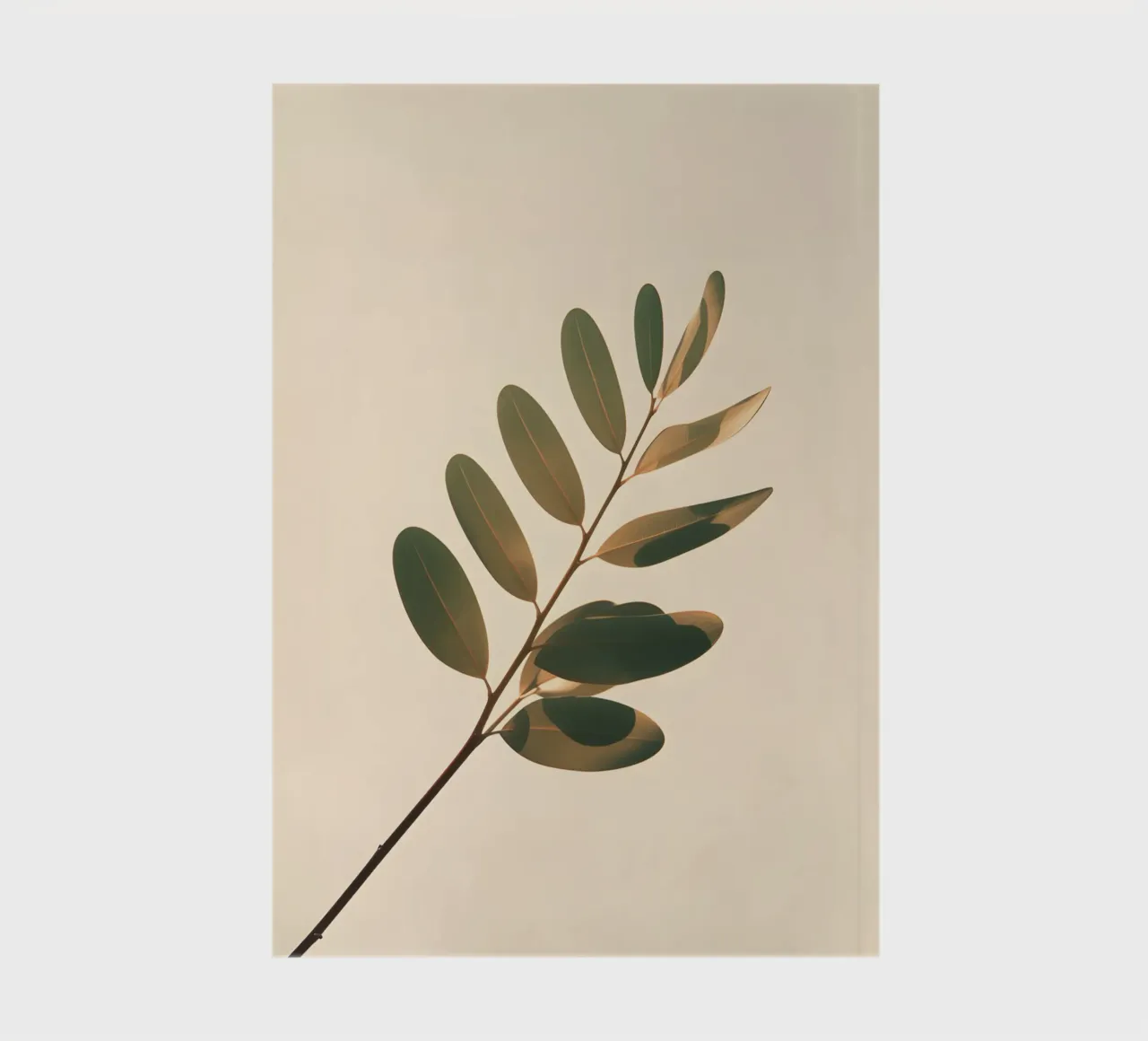 Gradient Botanical notebook by Botanical Gallery