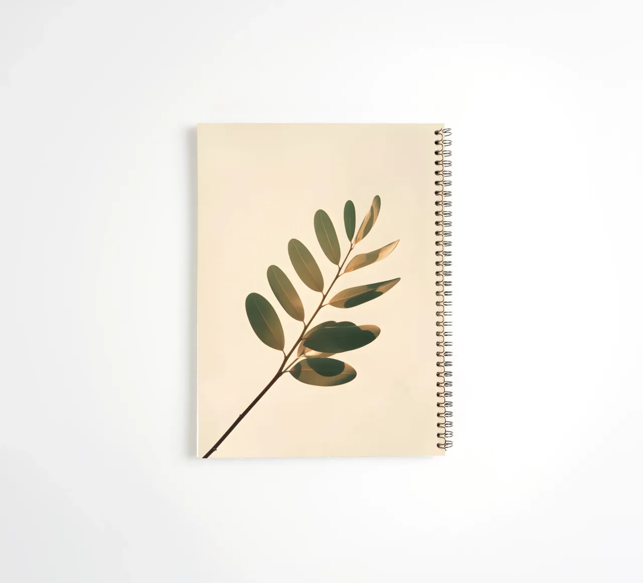 Gradiente botanico diario ad anelli da Botanical Gallery
