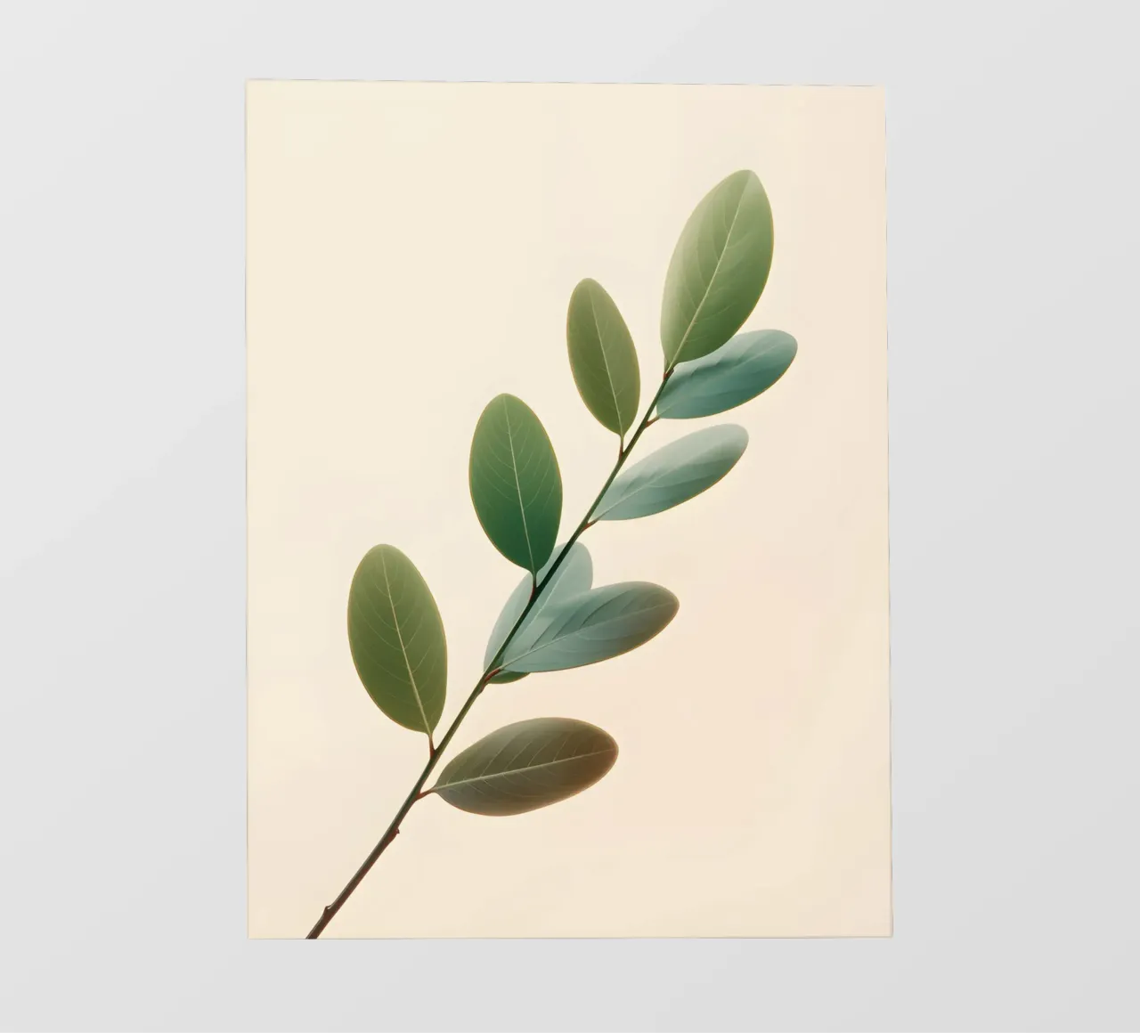Gradiente botanico telo in pvc da Botanical Gallery