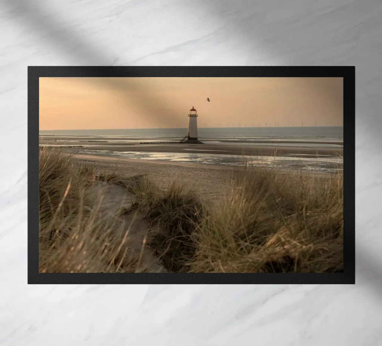light on sea zerbino da kichin