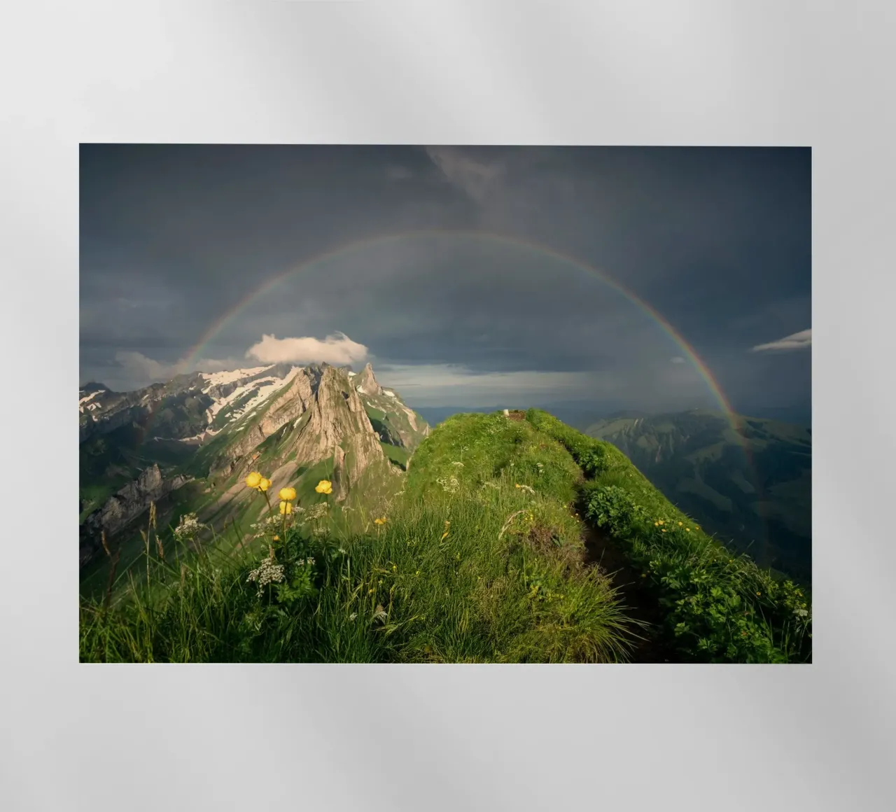 rainbow and the nature pellicola backlit da carsa