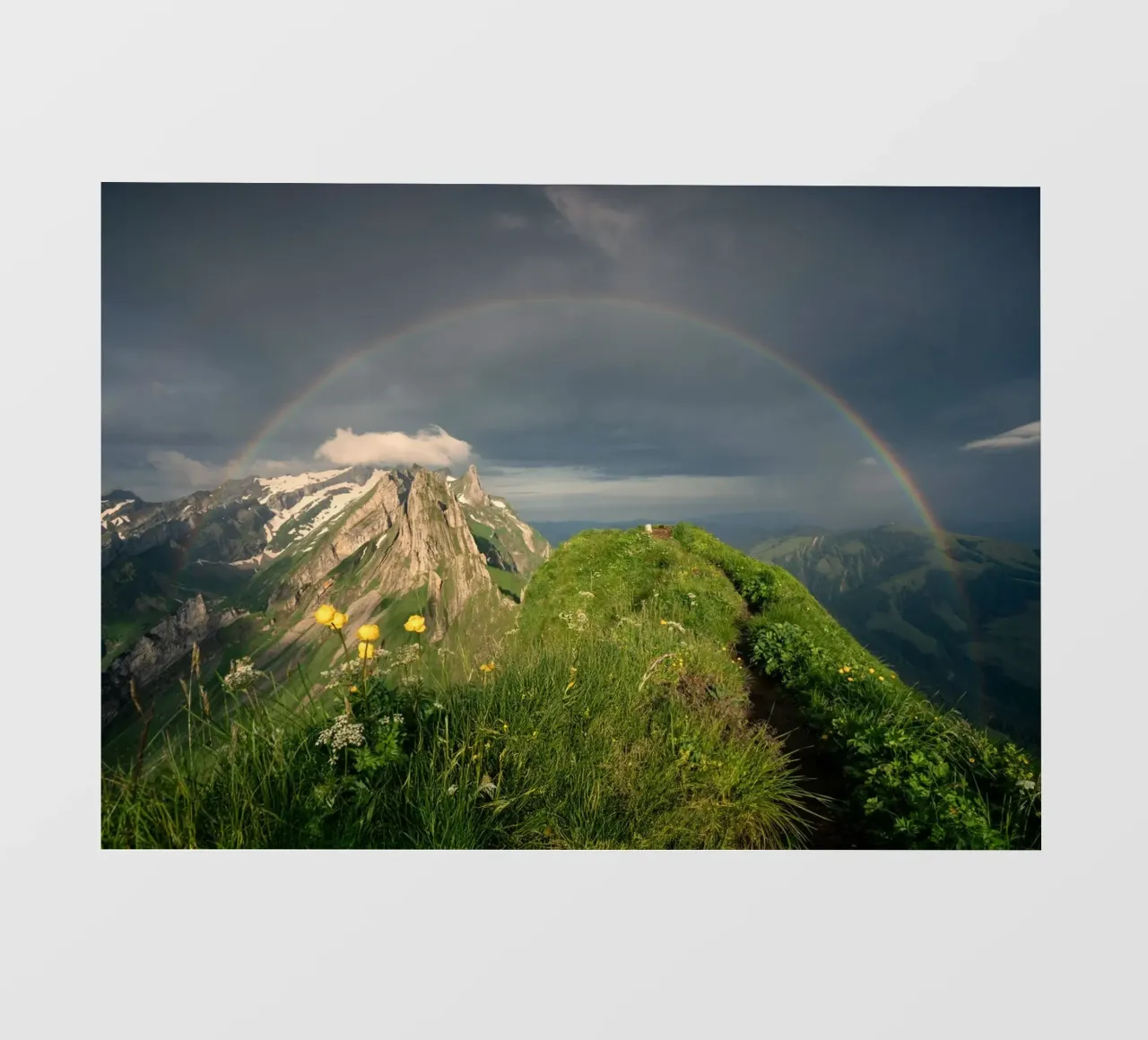rainbow and the nature pellicola backlit da carsa