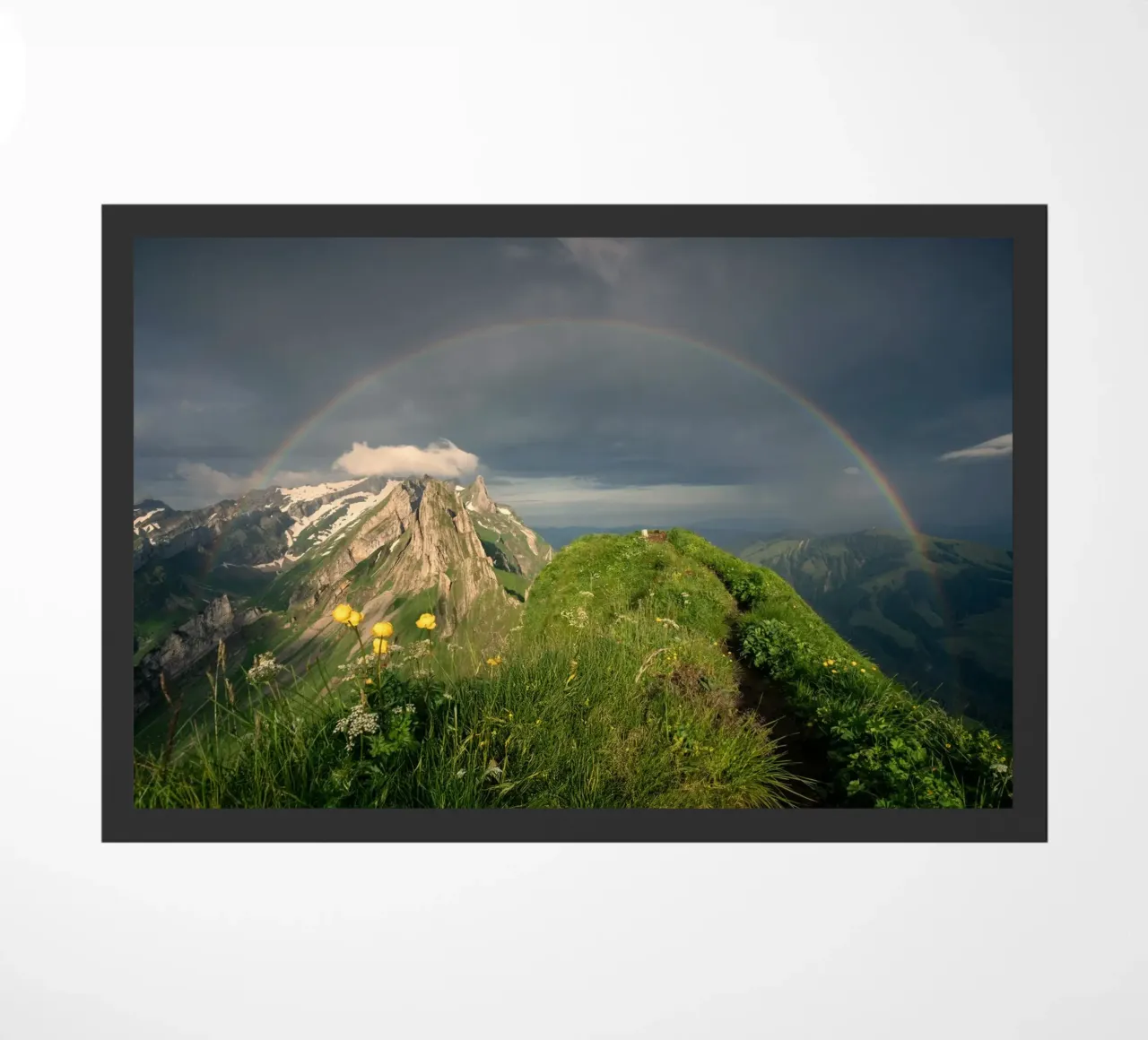 rainbow and the nature zerbino da carsa