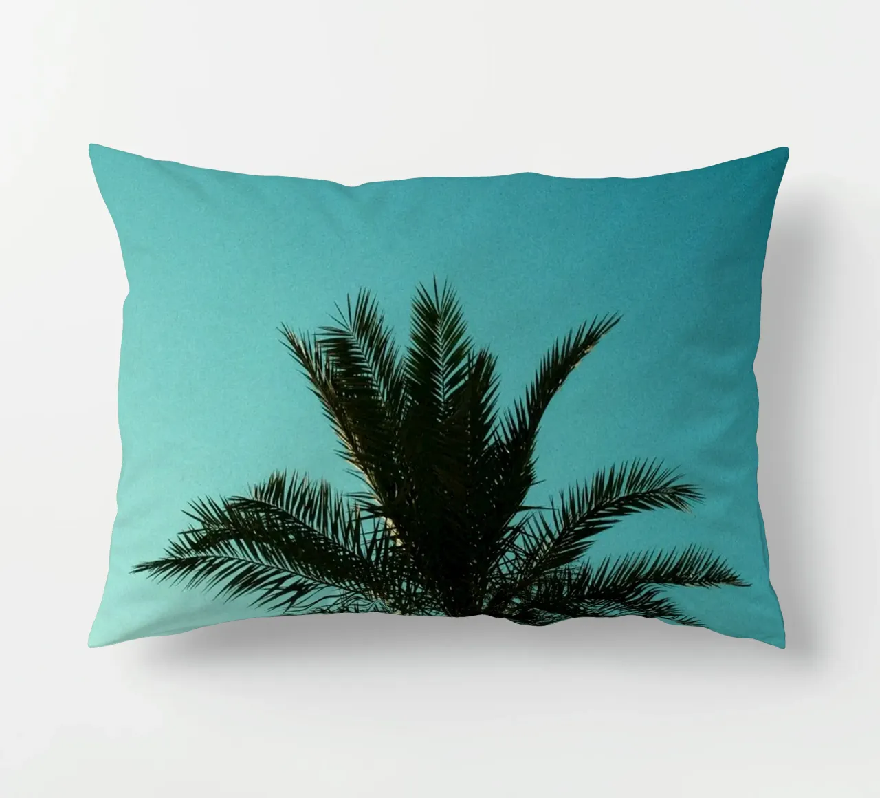 palm gradient cuscino da carsa
