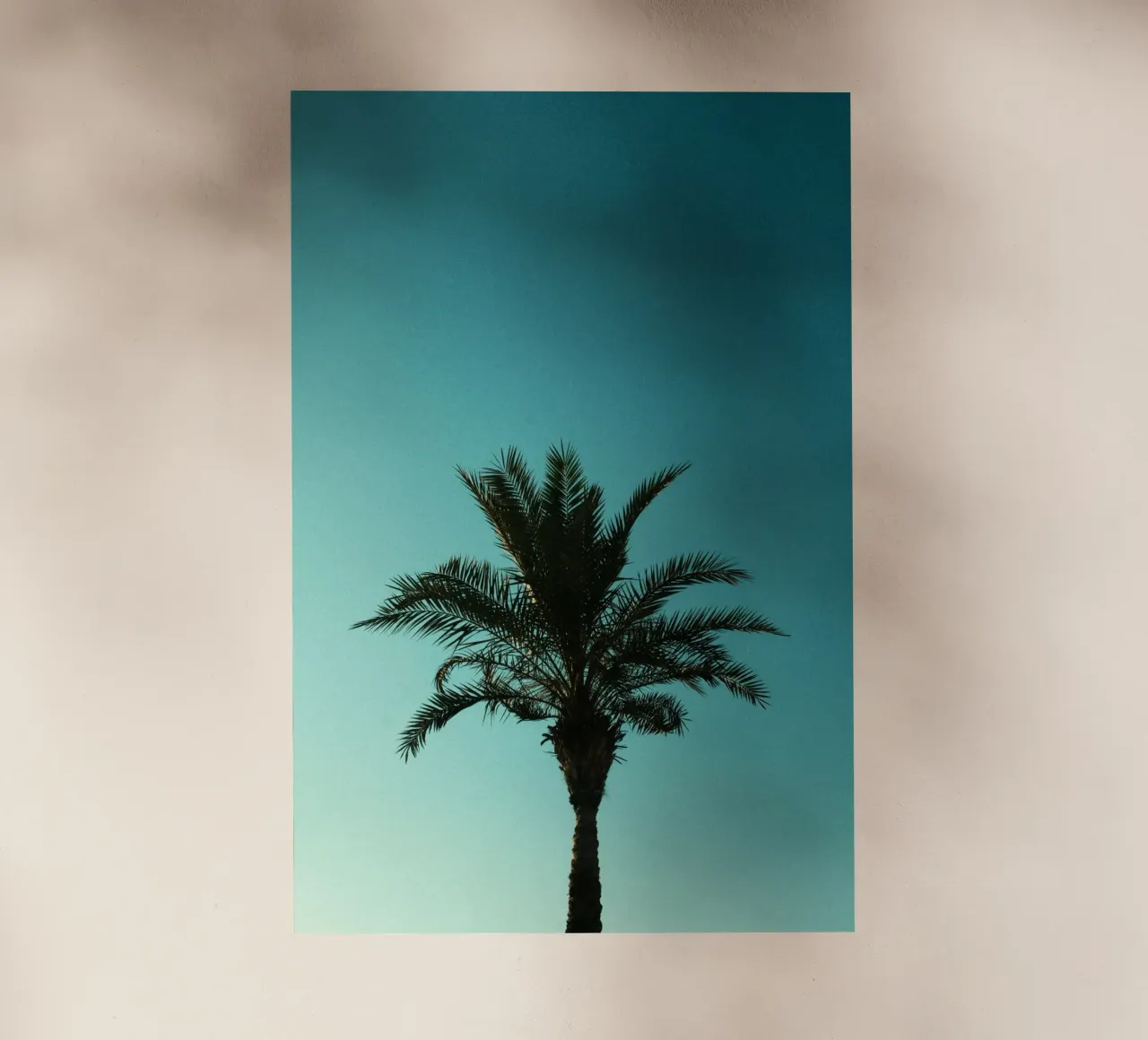 palm gradient pellicola backlit da carsa