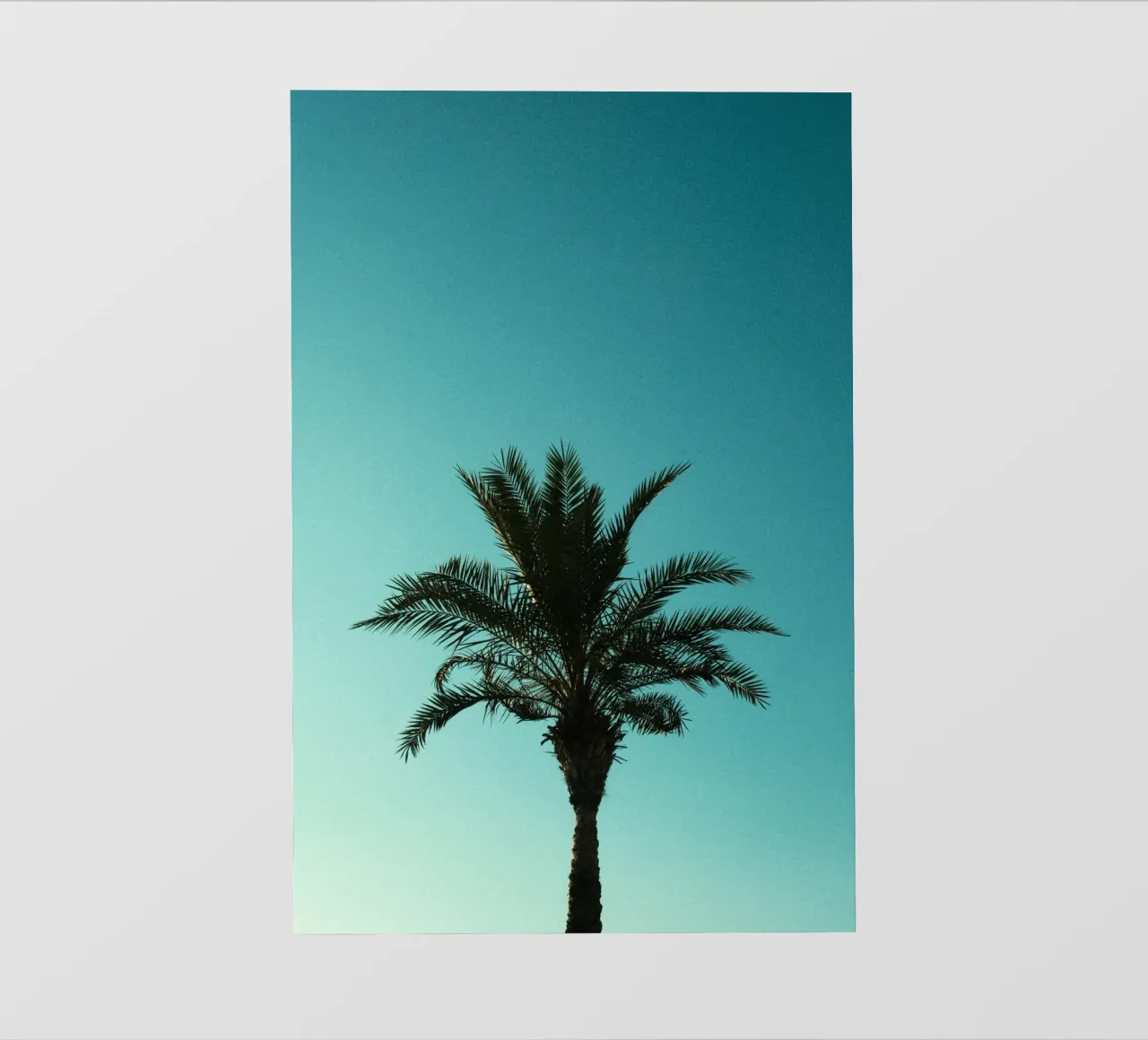 palm gradient pellicola backlit da carsa