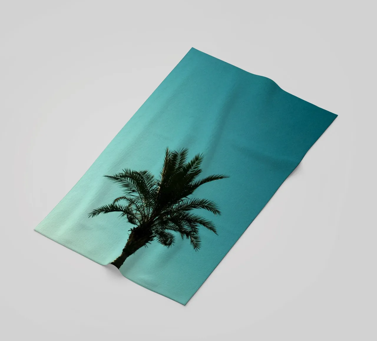 palm gradient telo mare da carsa