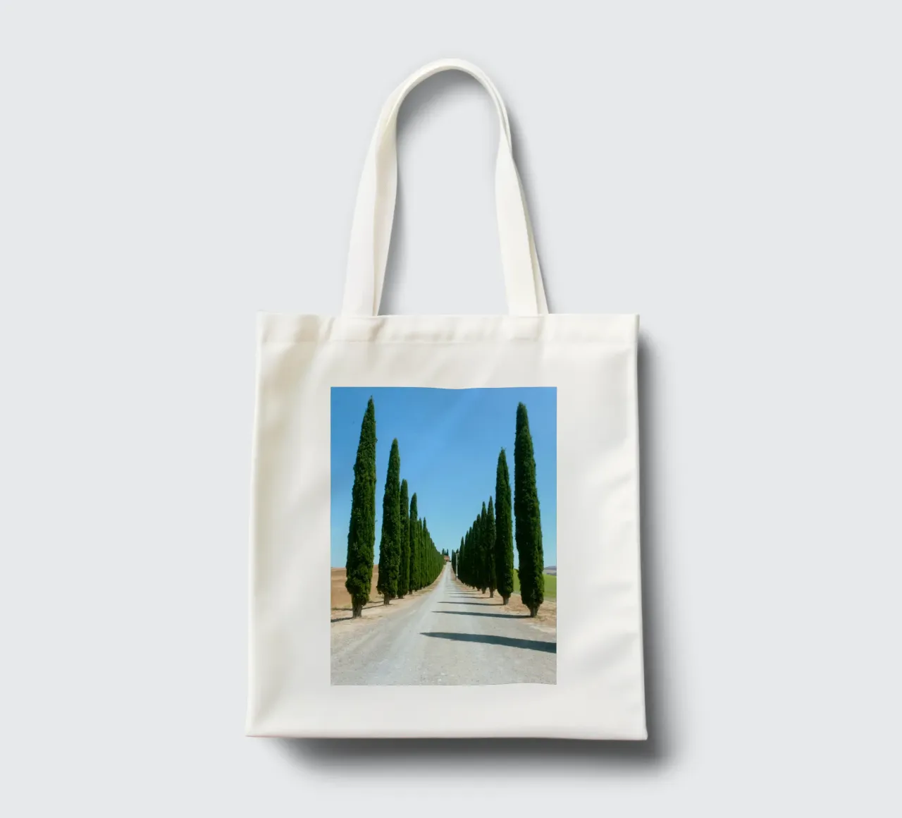 row of tree borsa in juta da carsa
