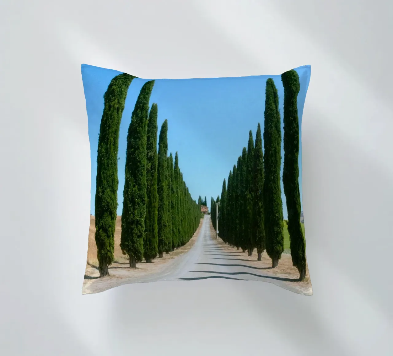 row of tree cuscino da carsa