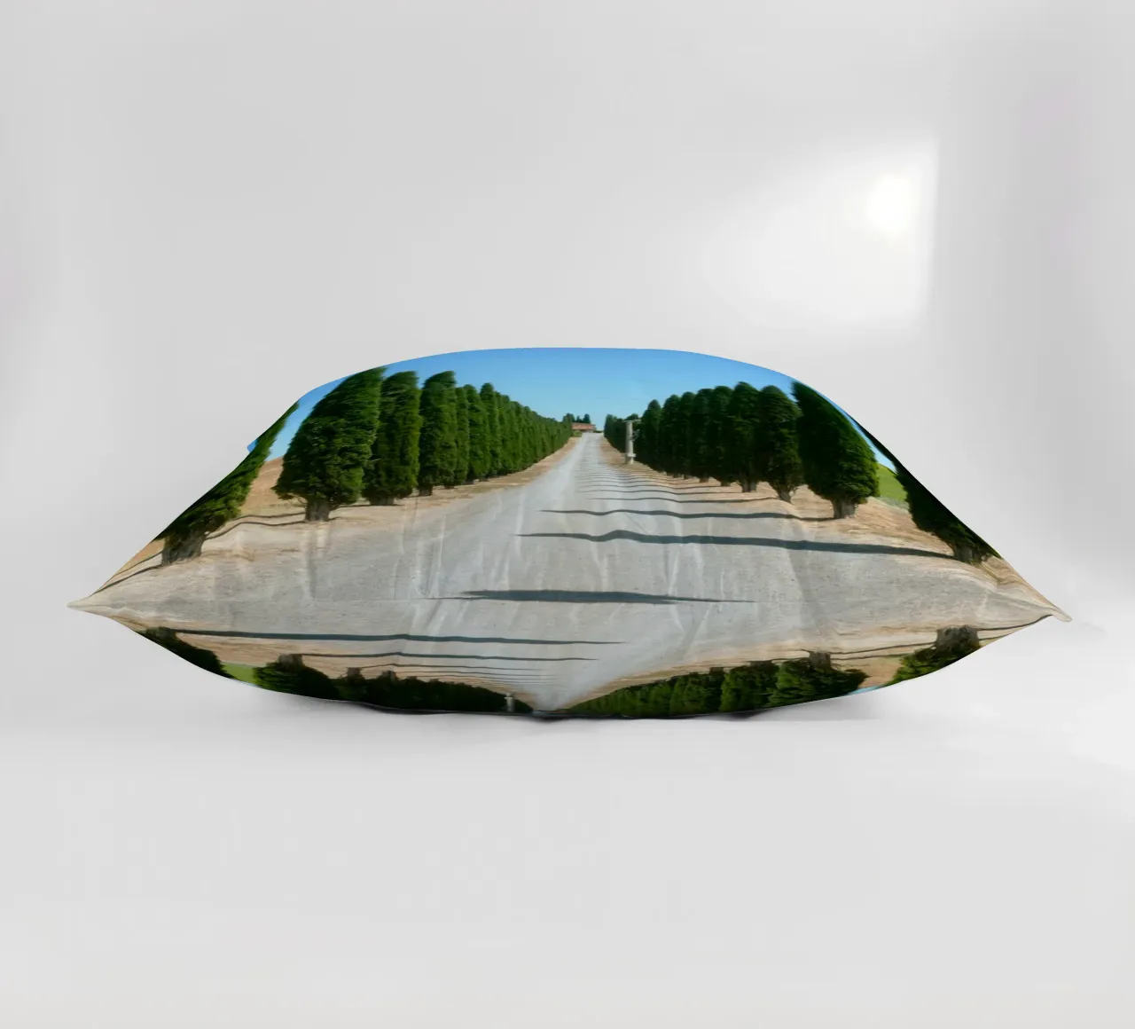 row of tree cuscino da carsa