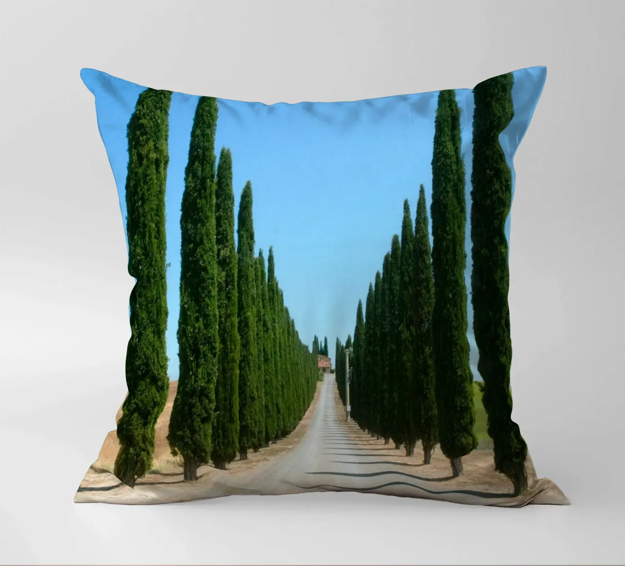 row of tree cuscino da carsa