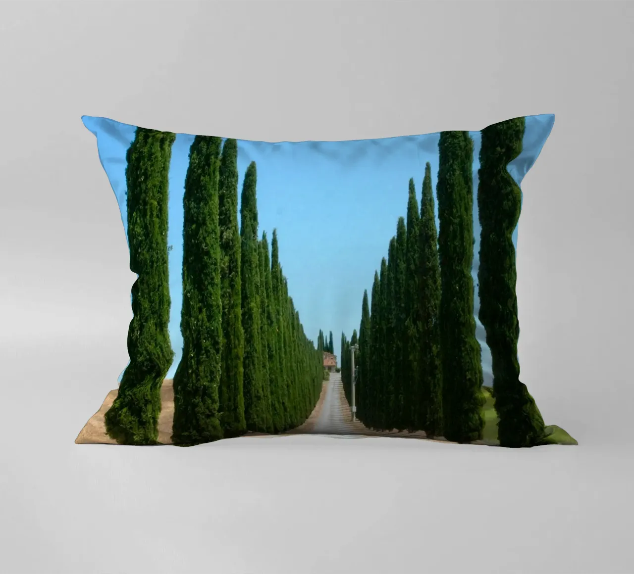 row of tree cuscino da carsa