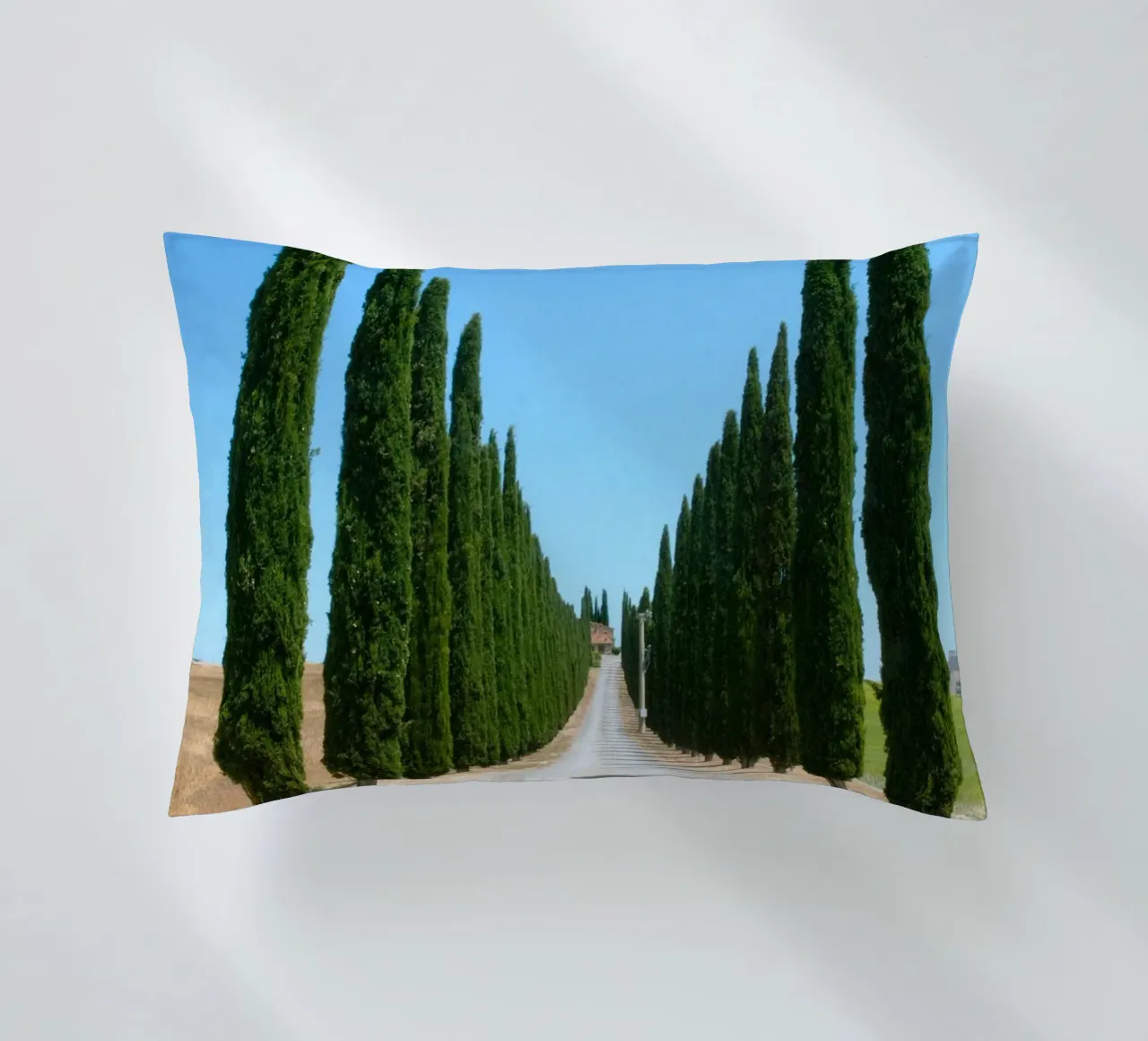 row of tree cuscino da carsa
