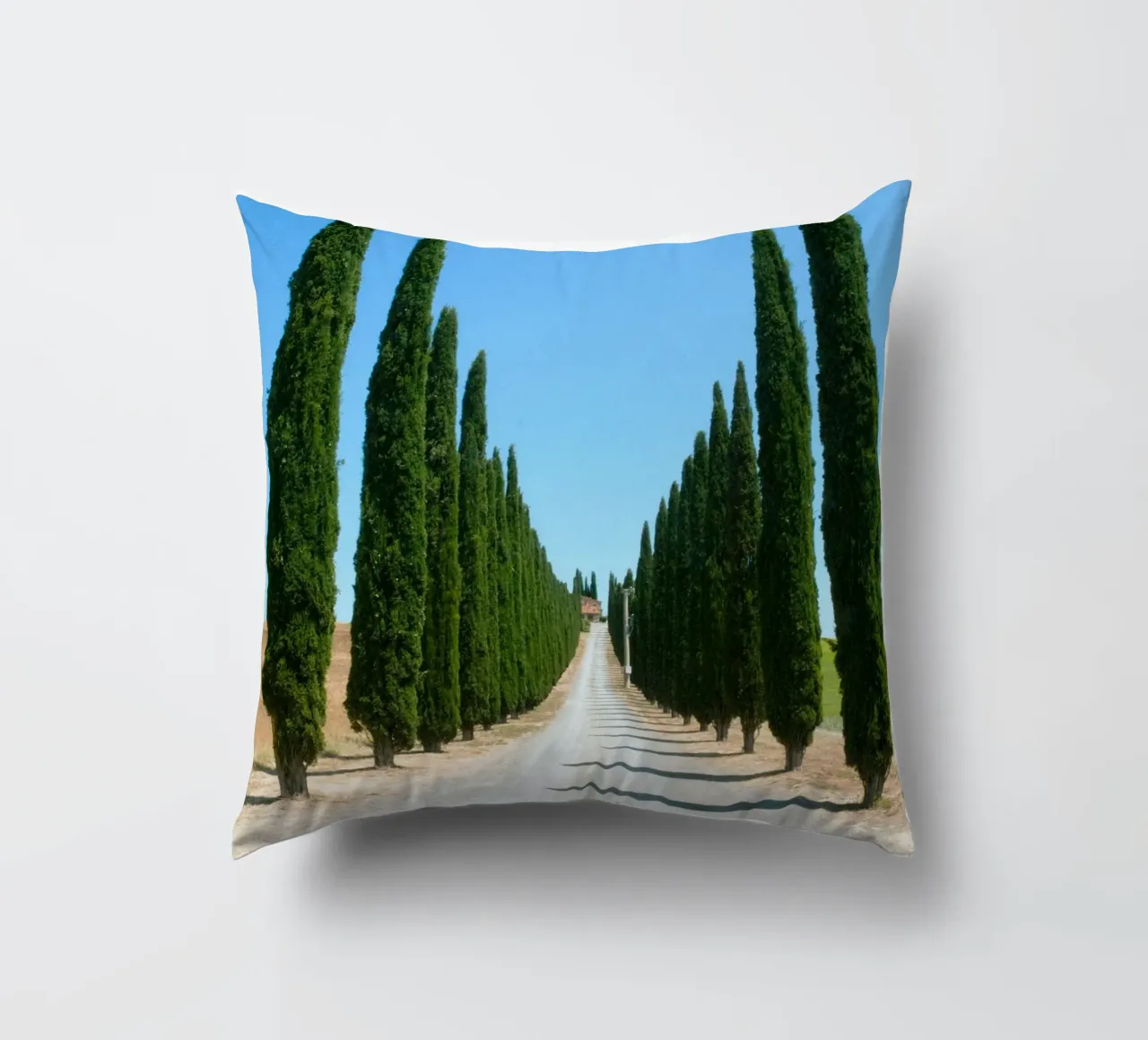 row of tree cuscino da carsa
