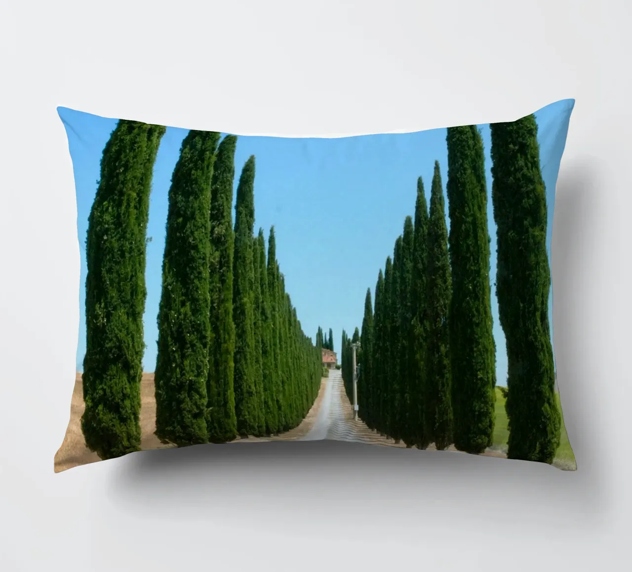 row of tree cuscino da carsa