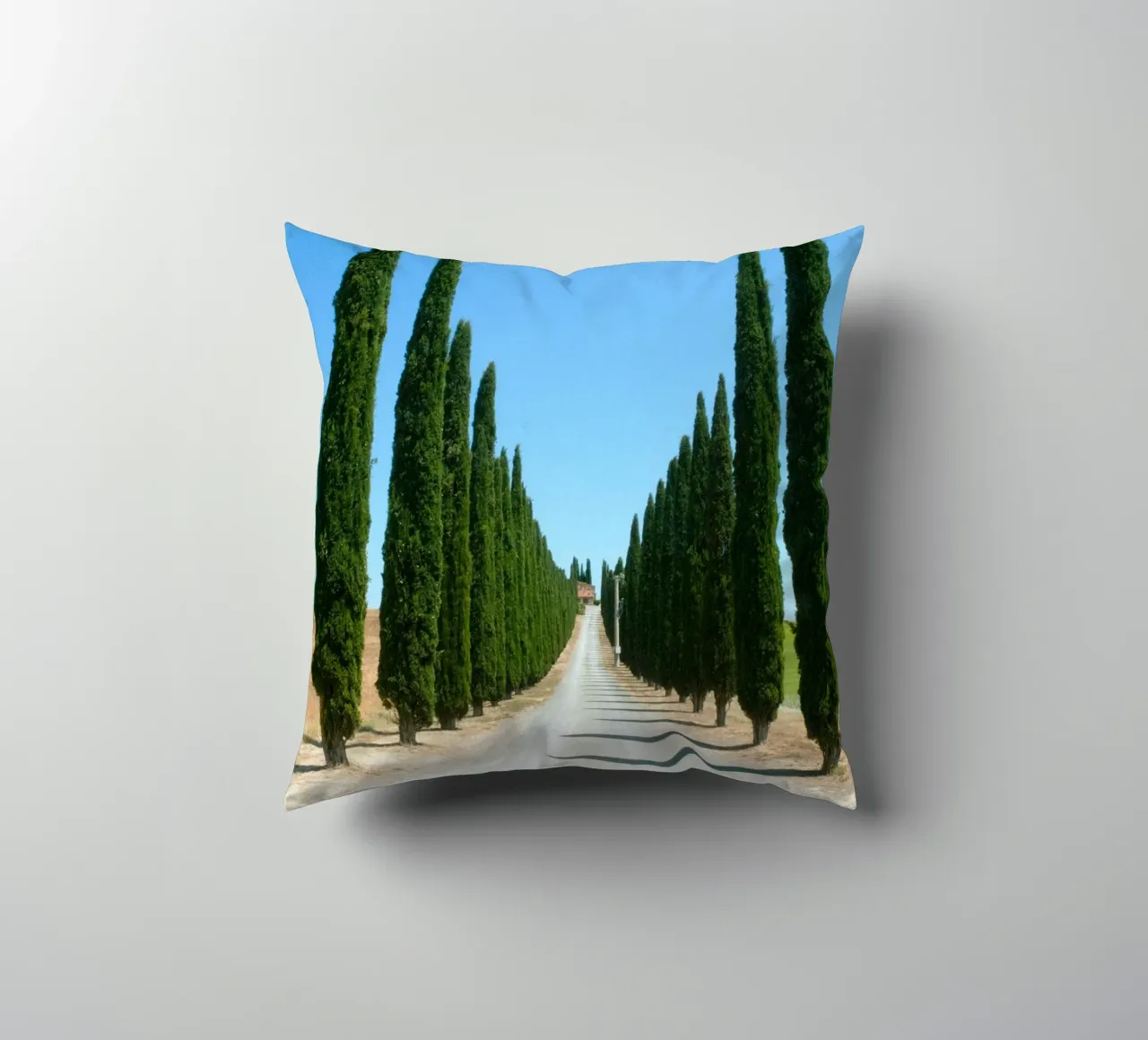 row of tree cuscino da carsa