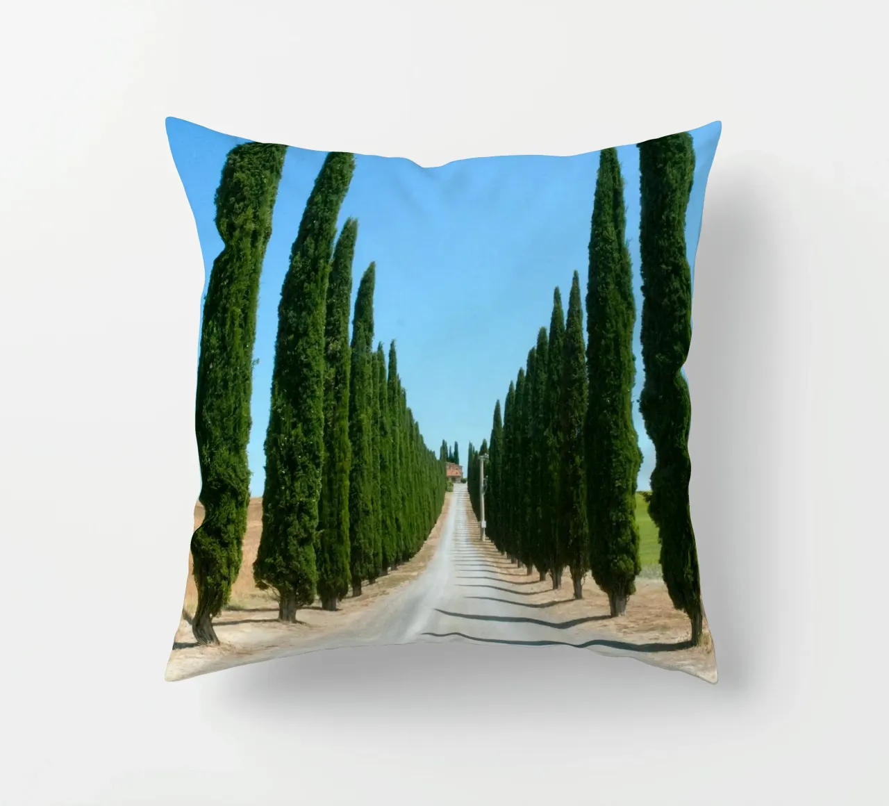 row of tree cuscino da carsa