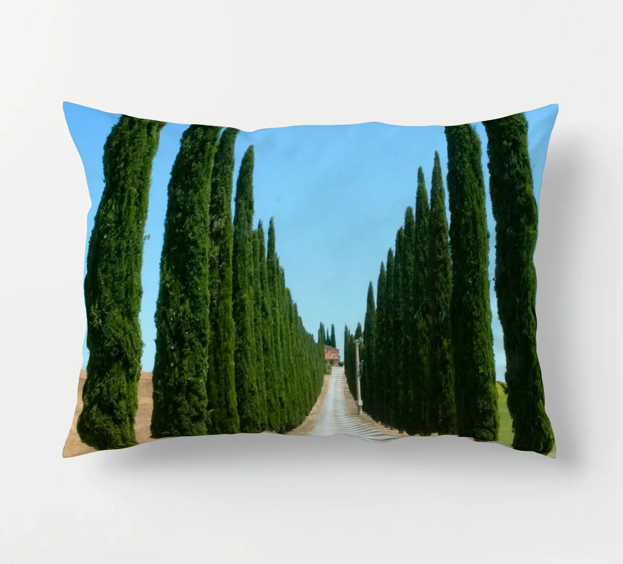 row of tree cuscino da carsa