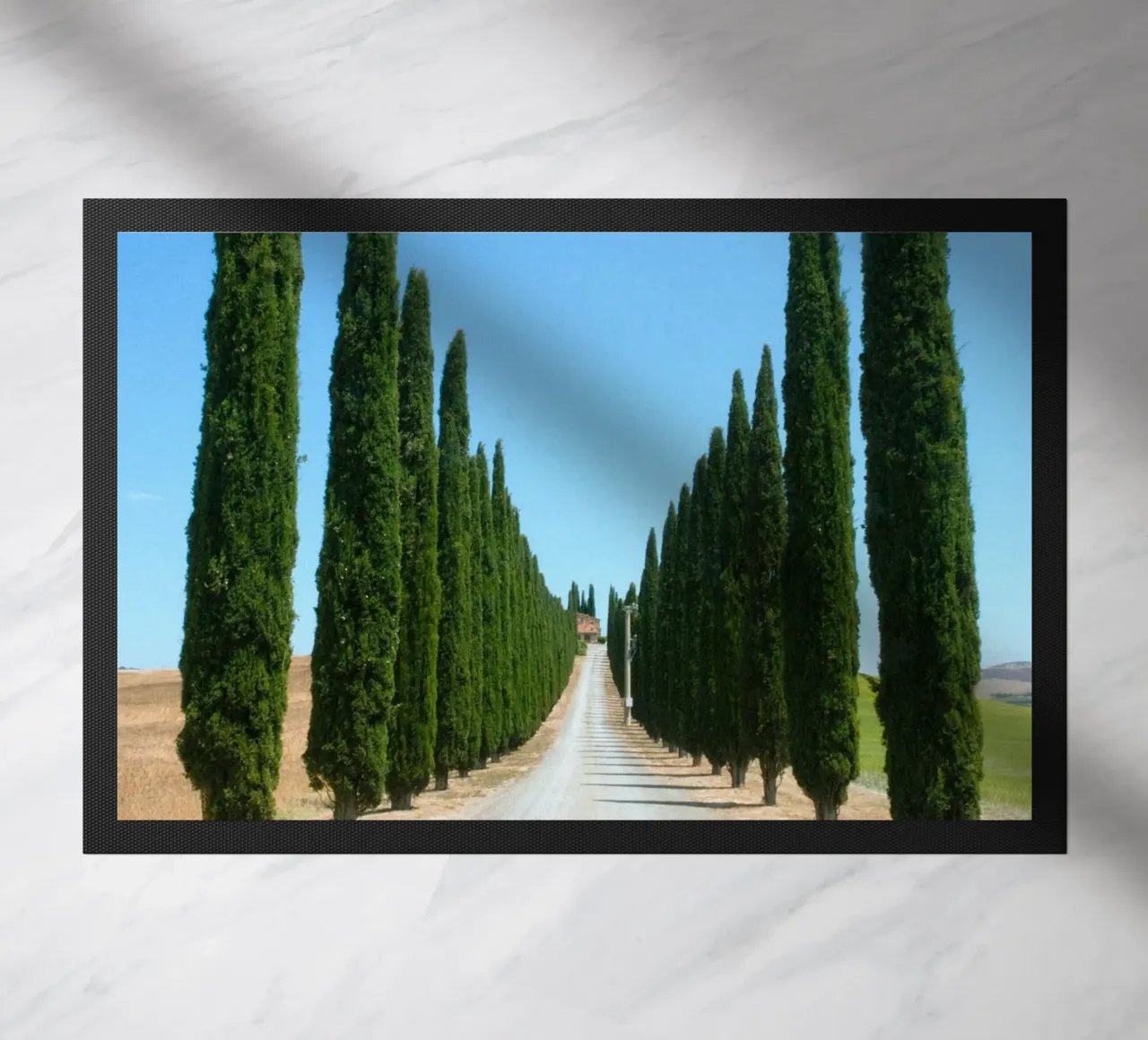 row of tree zerbino da carsa
