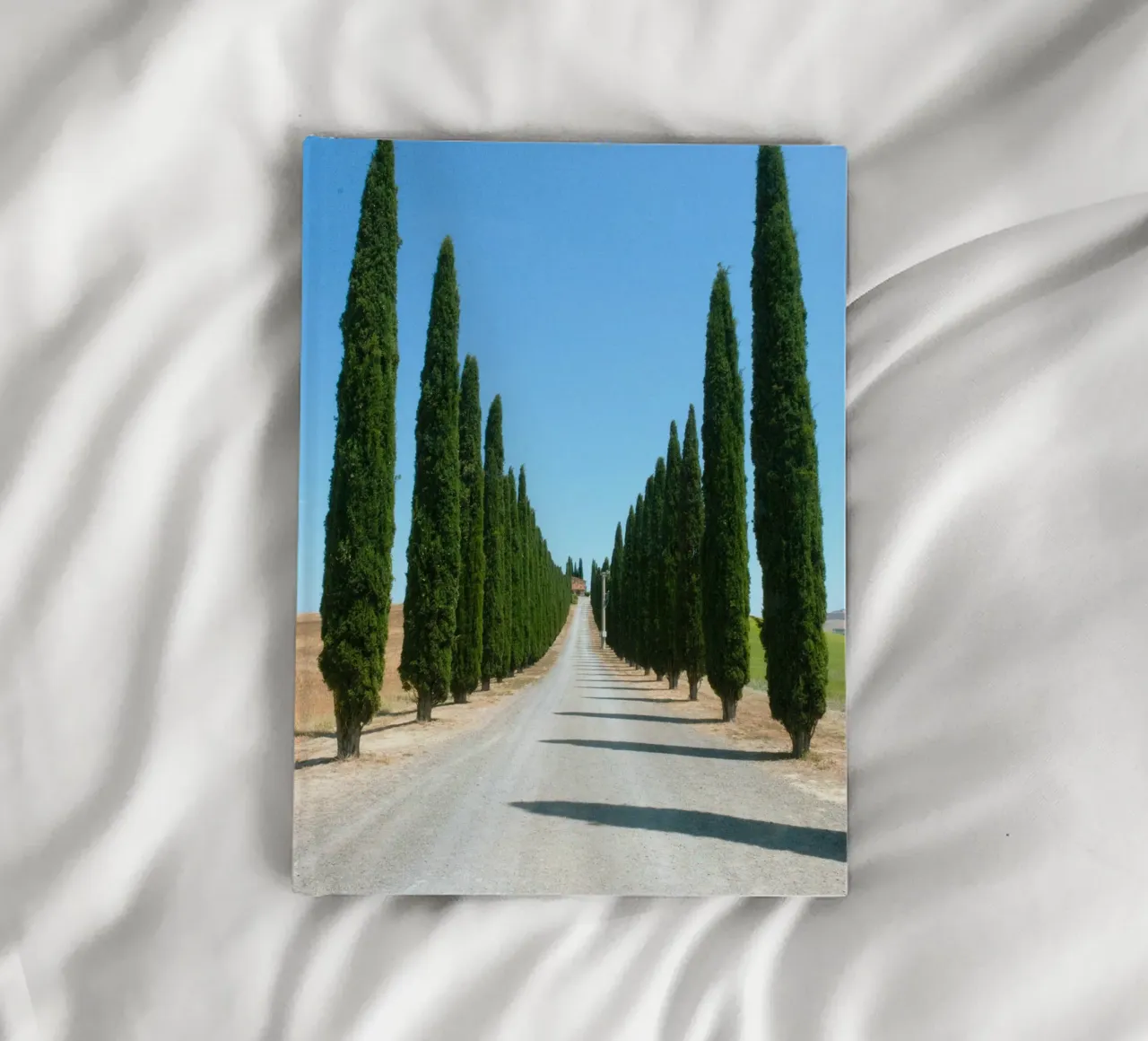 row of tree notebook by carsa