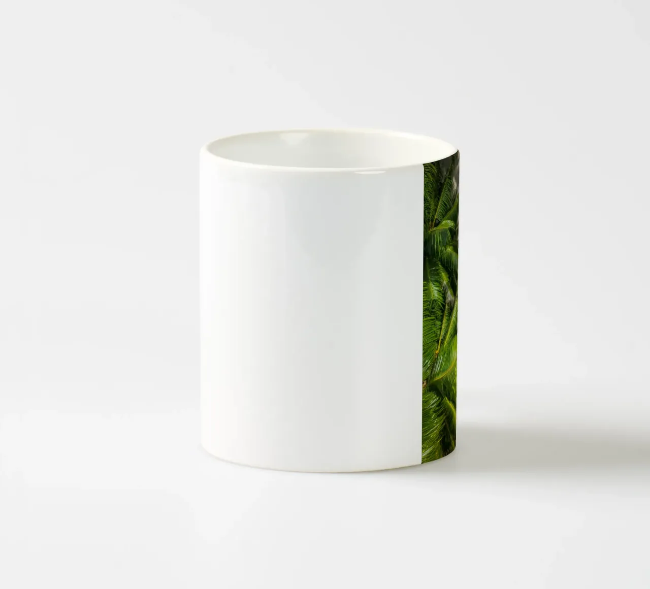 palm forest tazza in ceramica da melts
