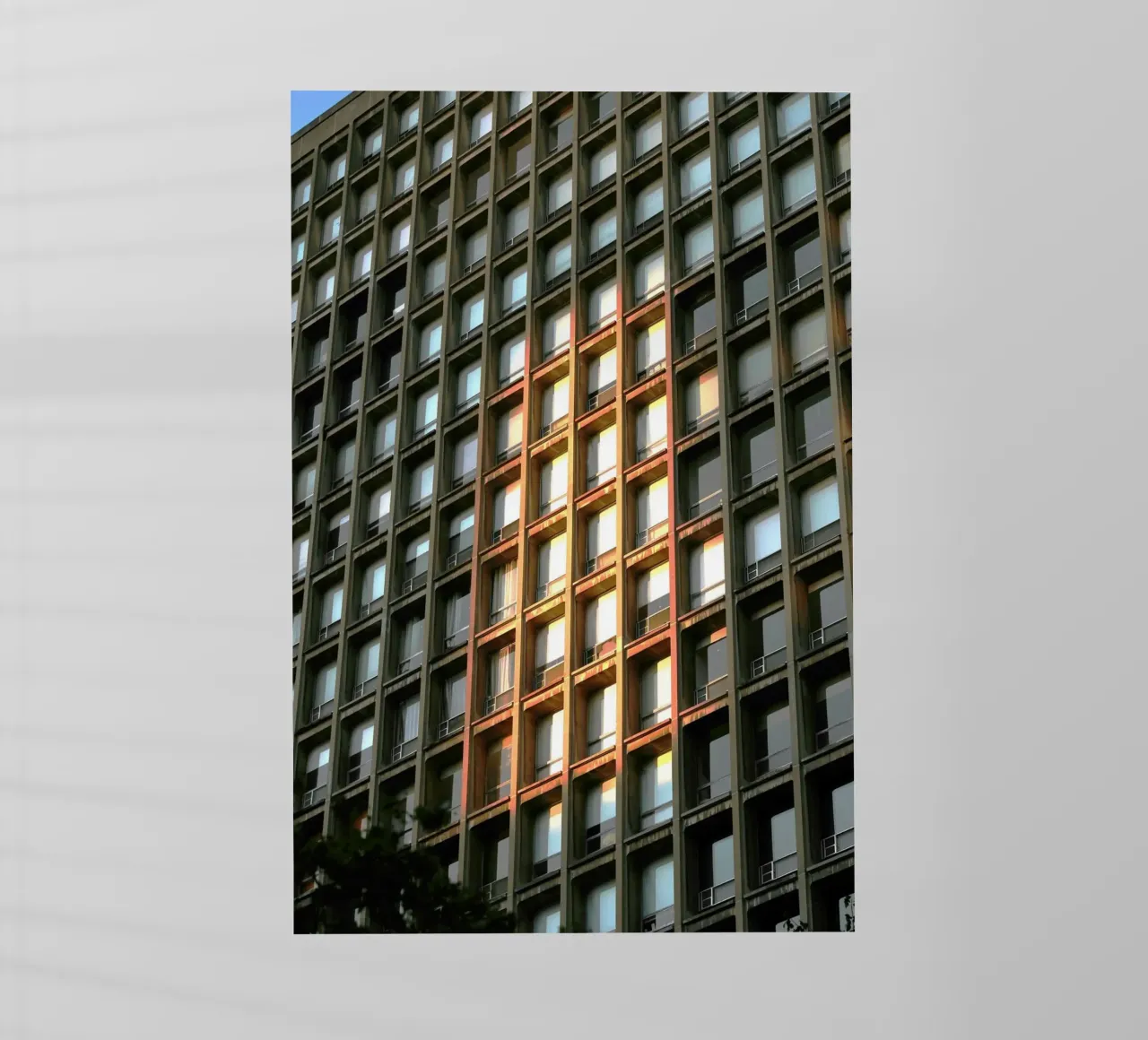 sunshine building pellicola backlit da melts