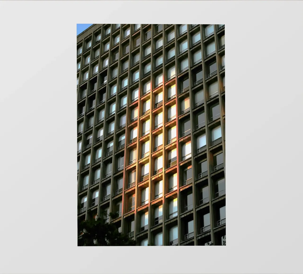 sunshine building pellicola backlit da melts