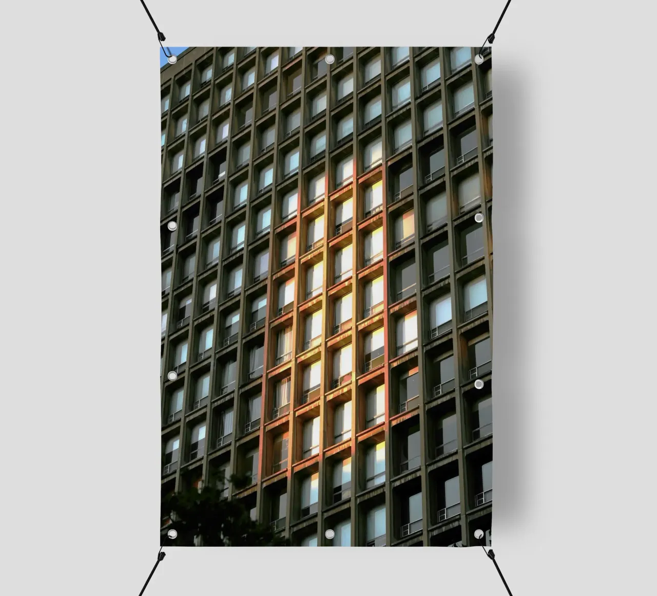 sunshine building telo in pvc da melts