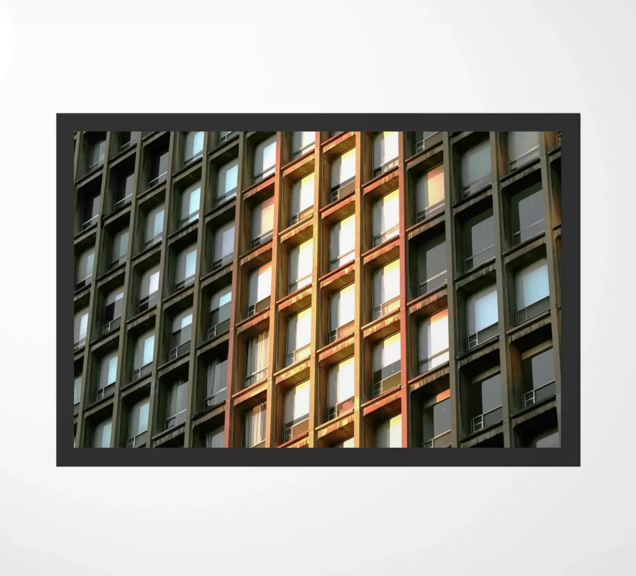 sunshine building zerbino da melts