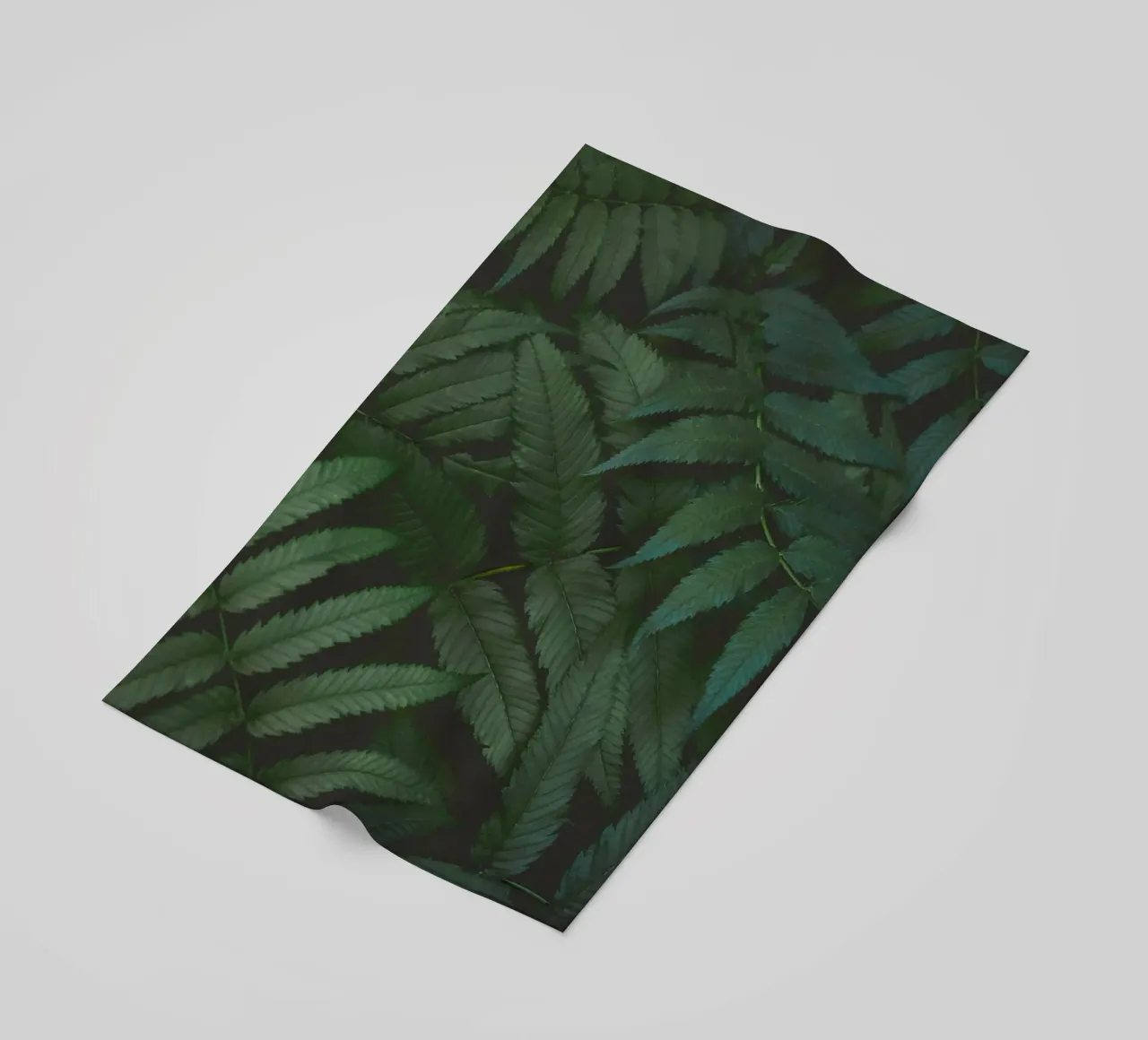 leaf in shadow telo mare da melts