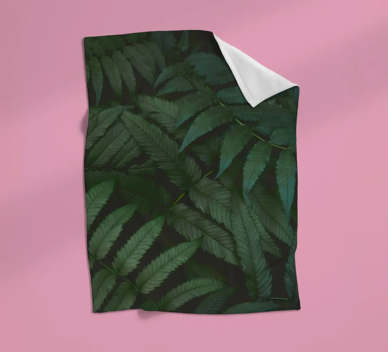 leaf in shadow coperta in pile da melts