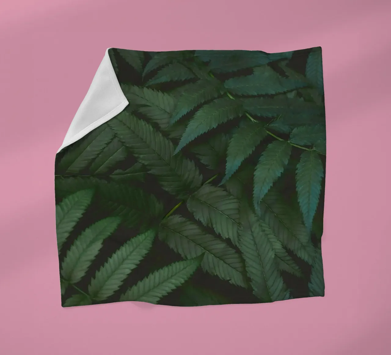leaf in shadow coperta in pile da melts