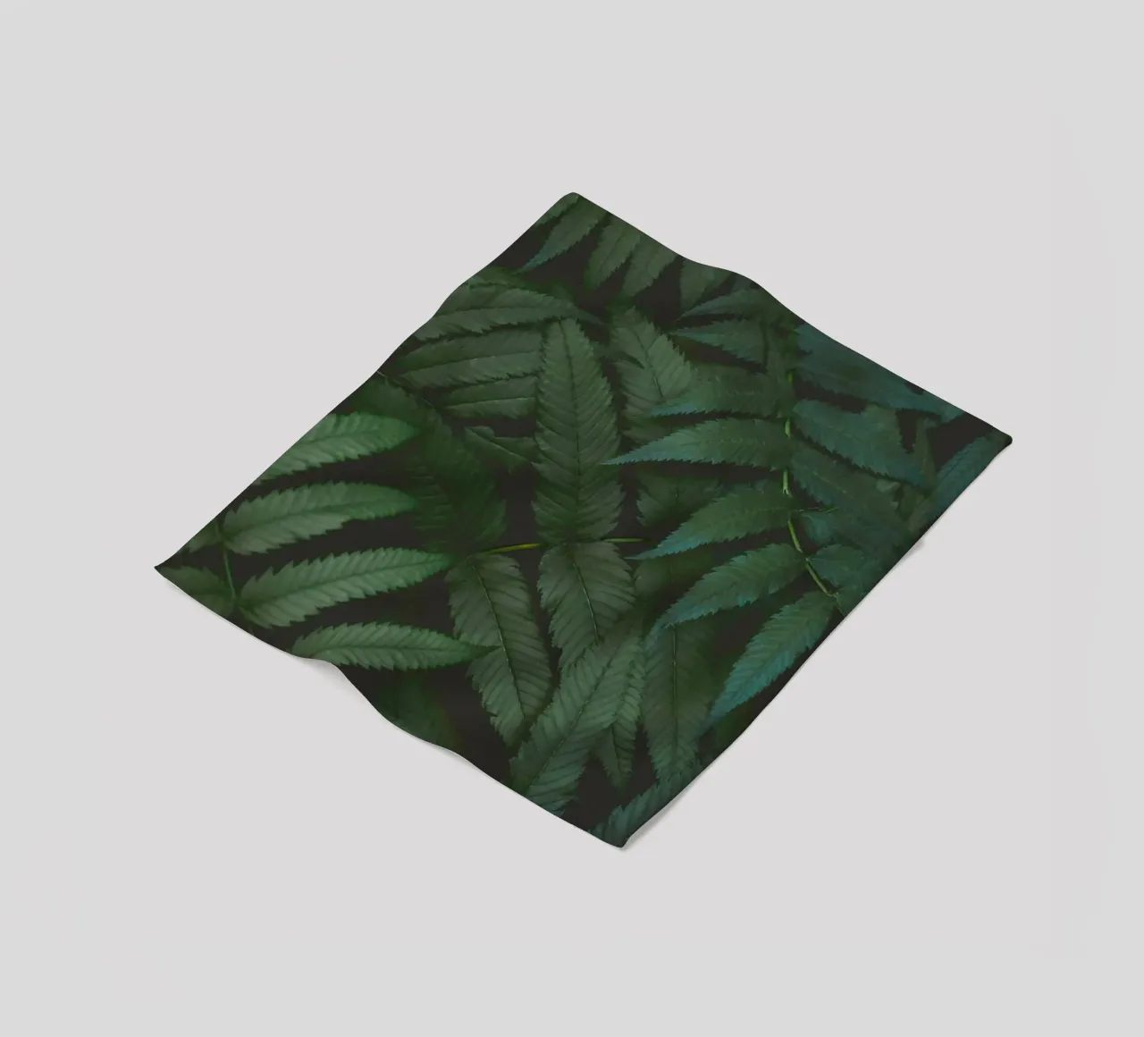 leaf in shadow coperta in pile da melts