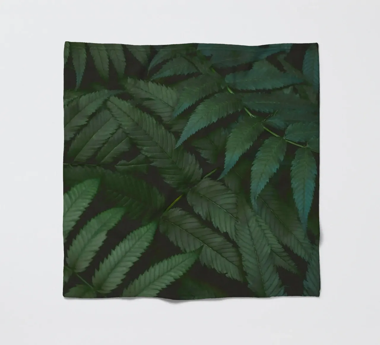 leaf in shadow coperta in pile da melts