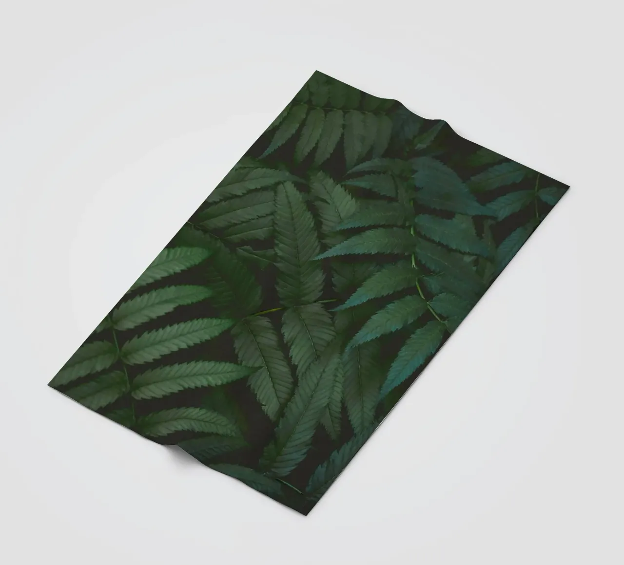 leaf in shadow coperta in pile da melts