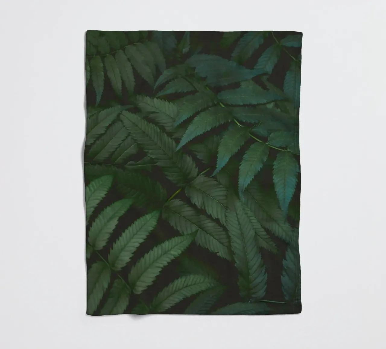 leaf in shadow coperta in pile da melts