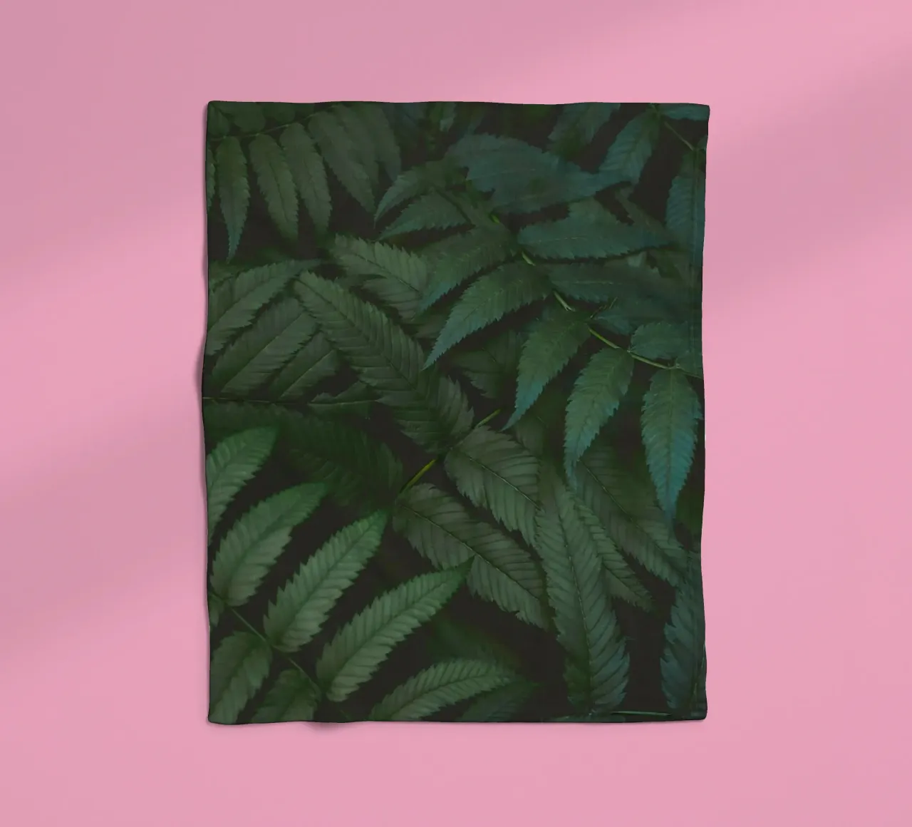 leaf in shadow coperta in pile da melts