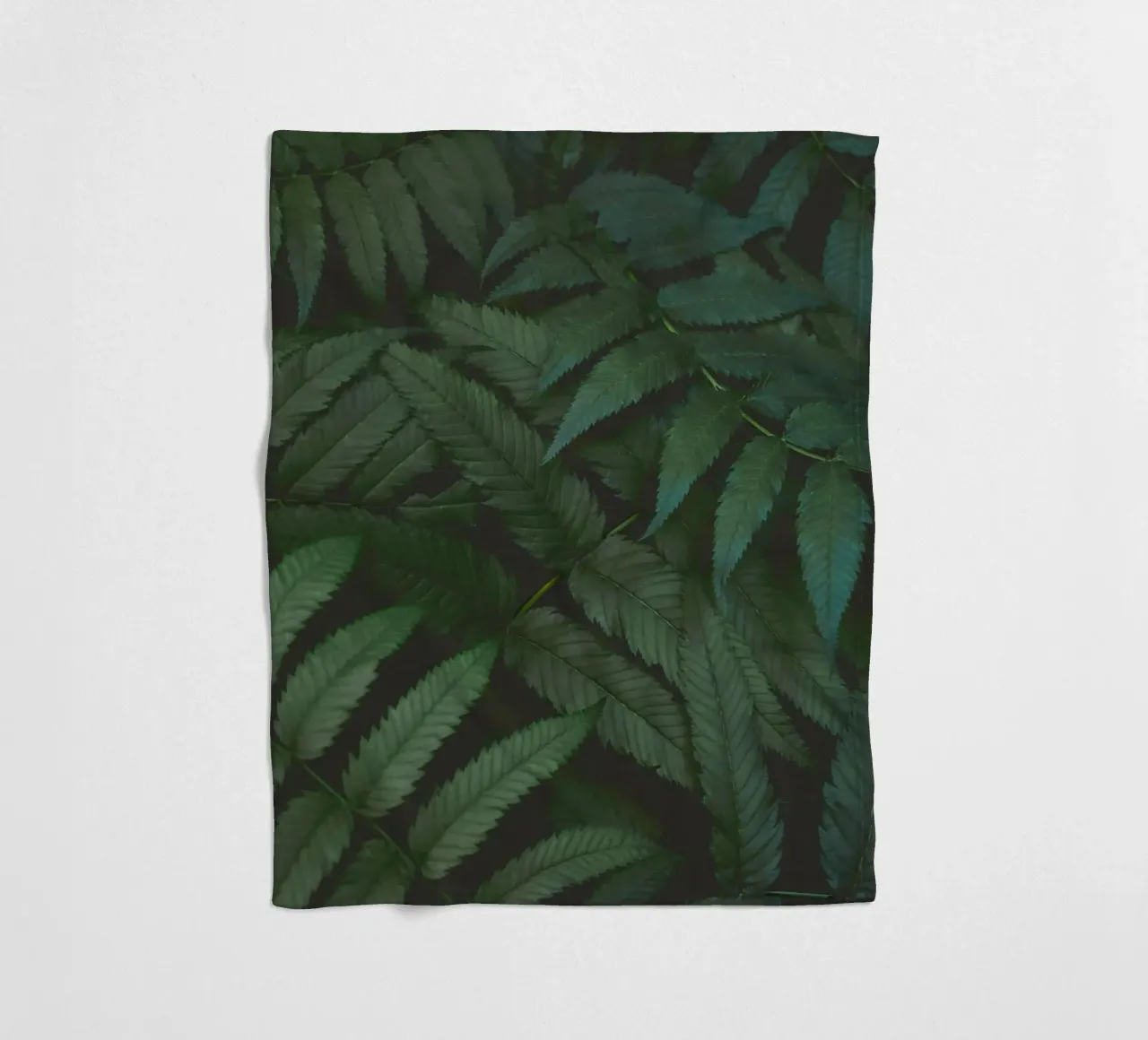leaf in shadow coperta in pile da melts