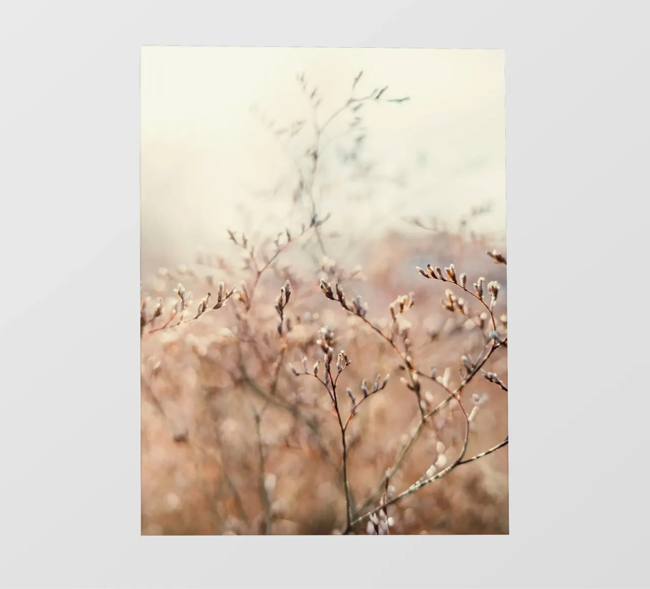 thin tree and flower pellicola backlit da melts