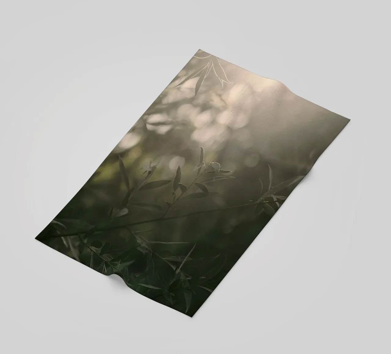 shining through forest telo mare da melts