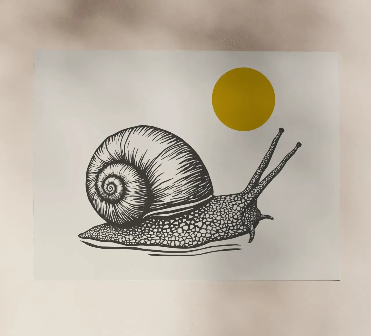 Snail pellicola backlit da Indigo Rain