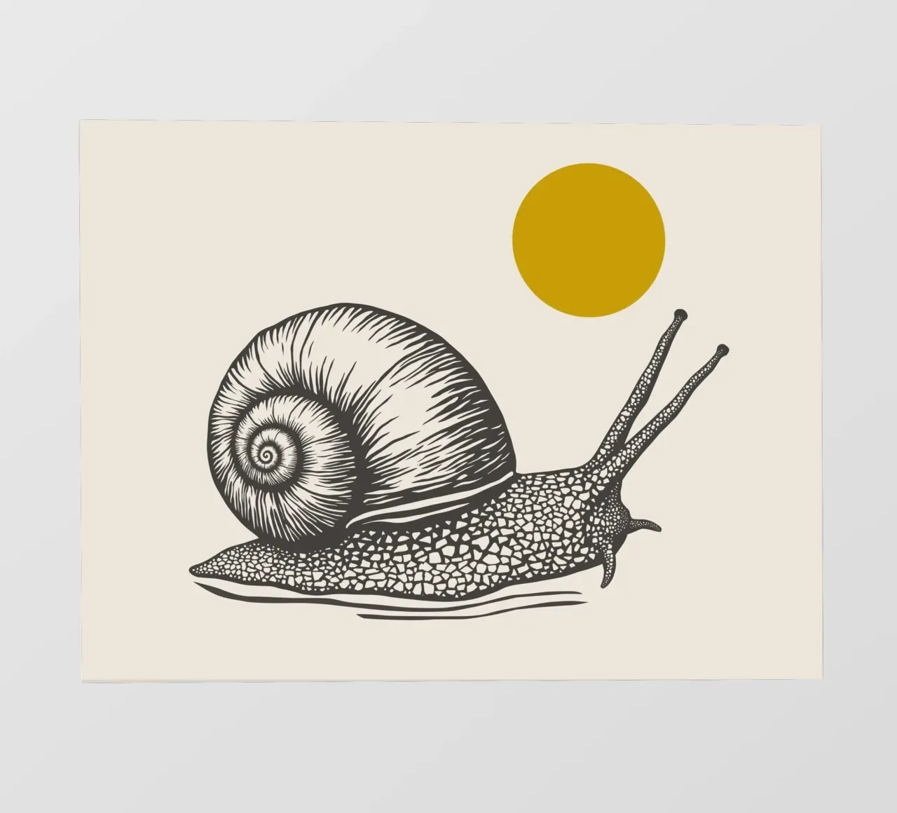 Snail pellicola backlit da Indigo Rain