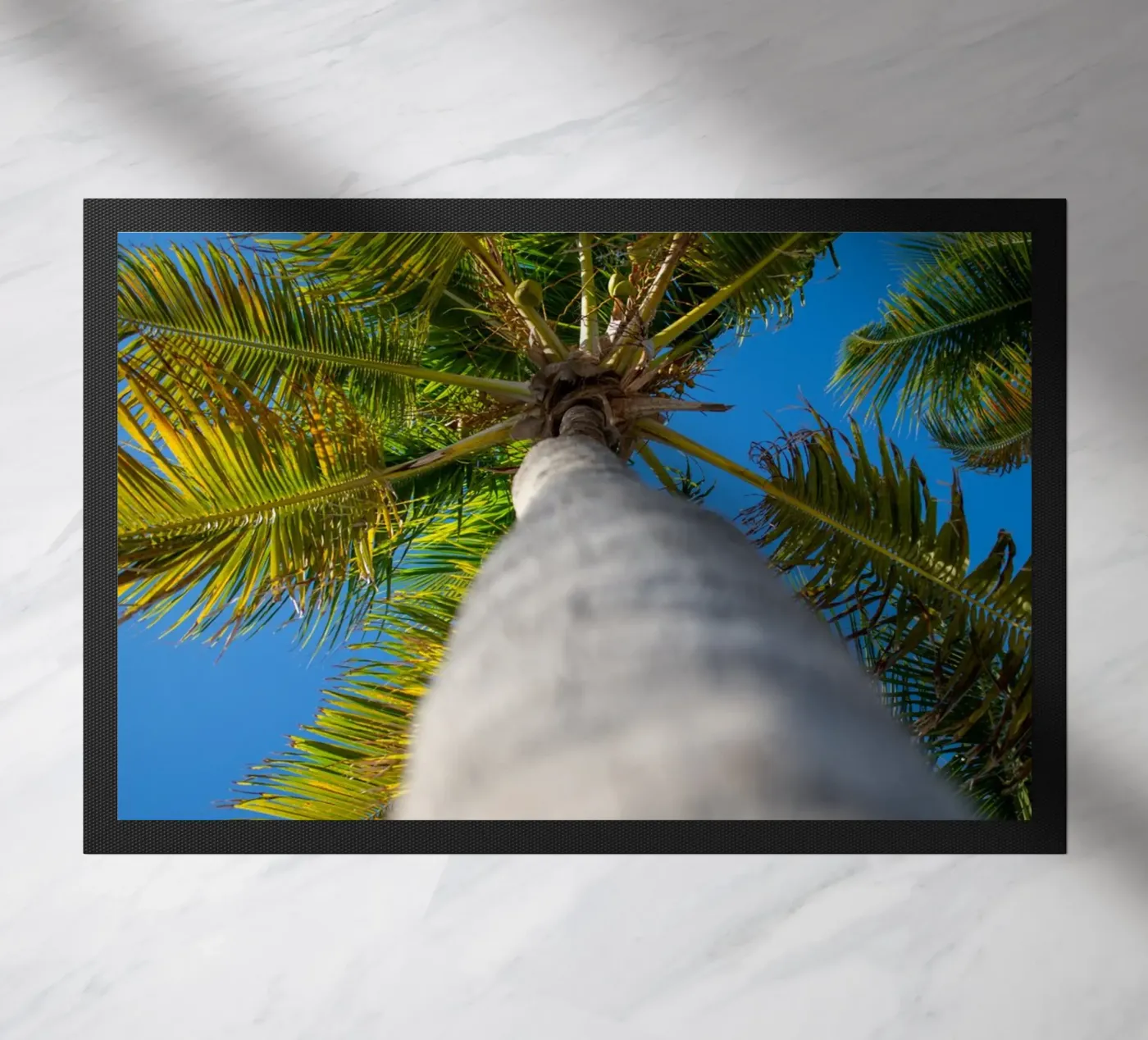 Palm tree zerbino da anderm