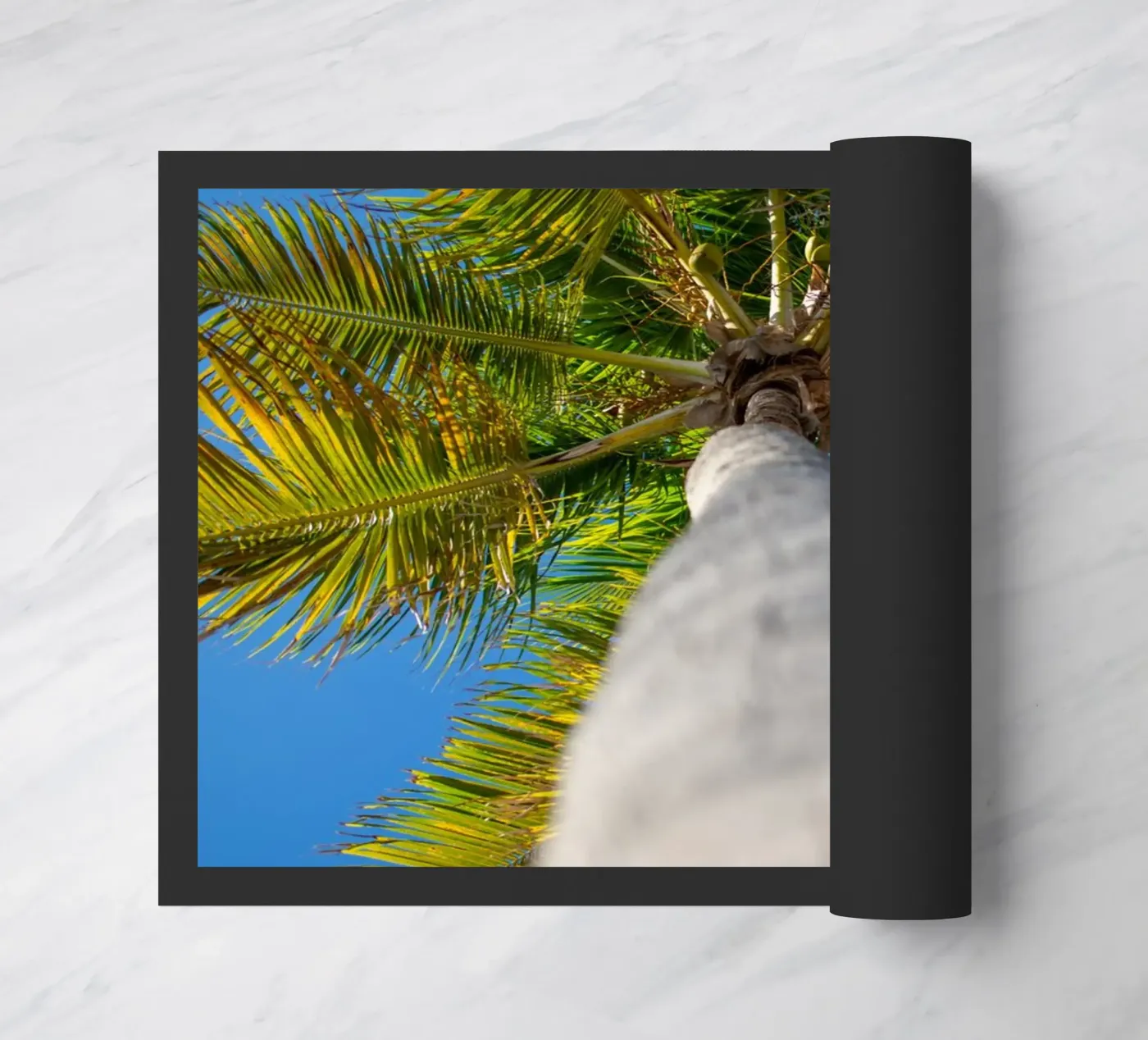 Palm tree zerbino da anderm