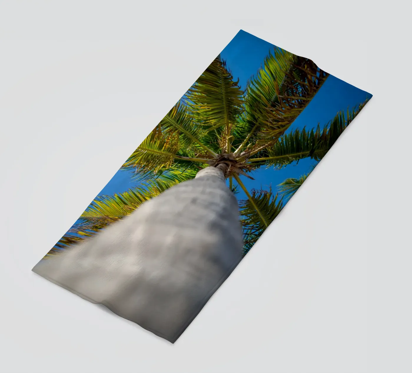 Palm tree telo mare da anderm