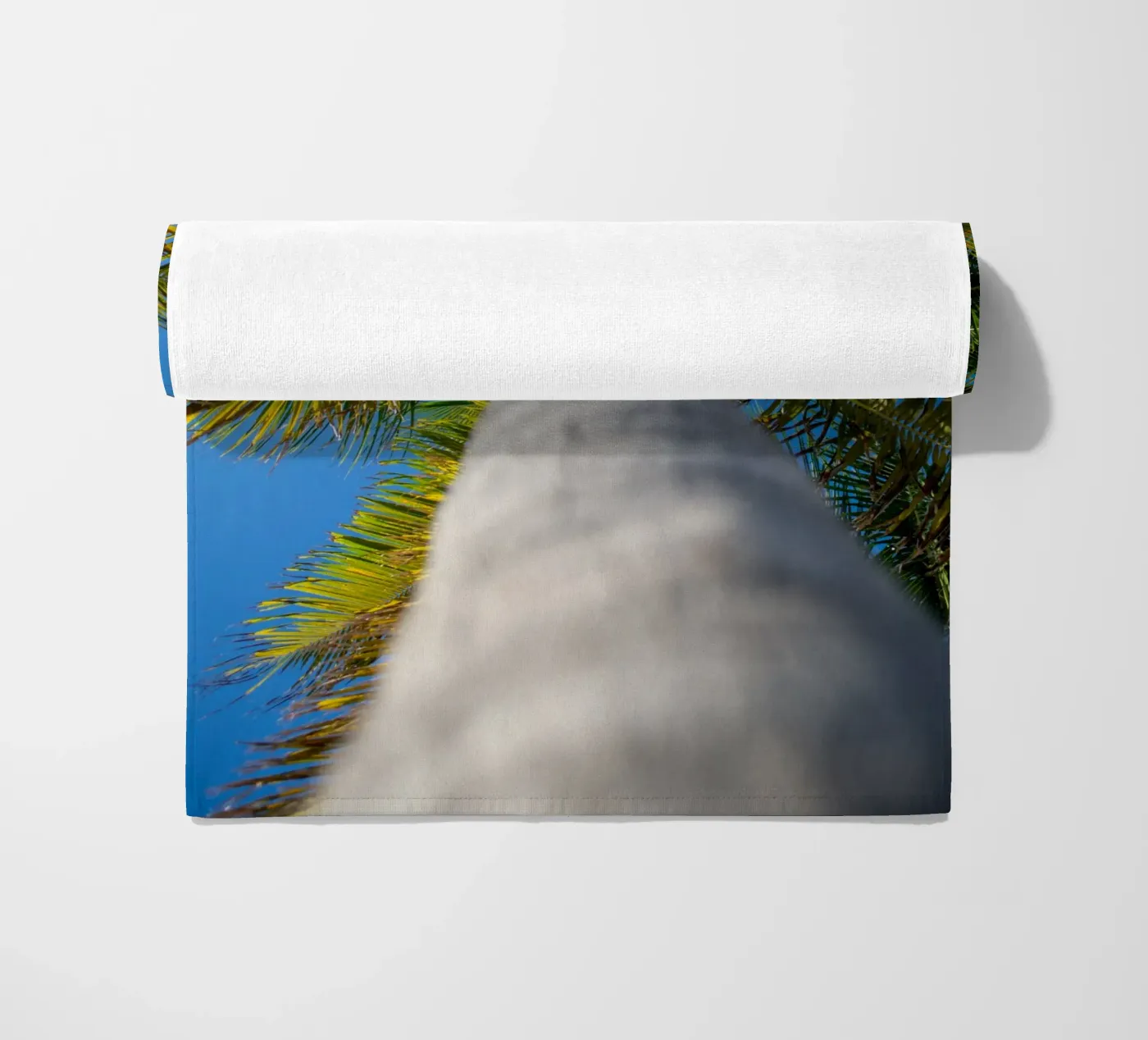 Palm tree telo mare da anderm